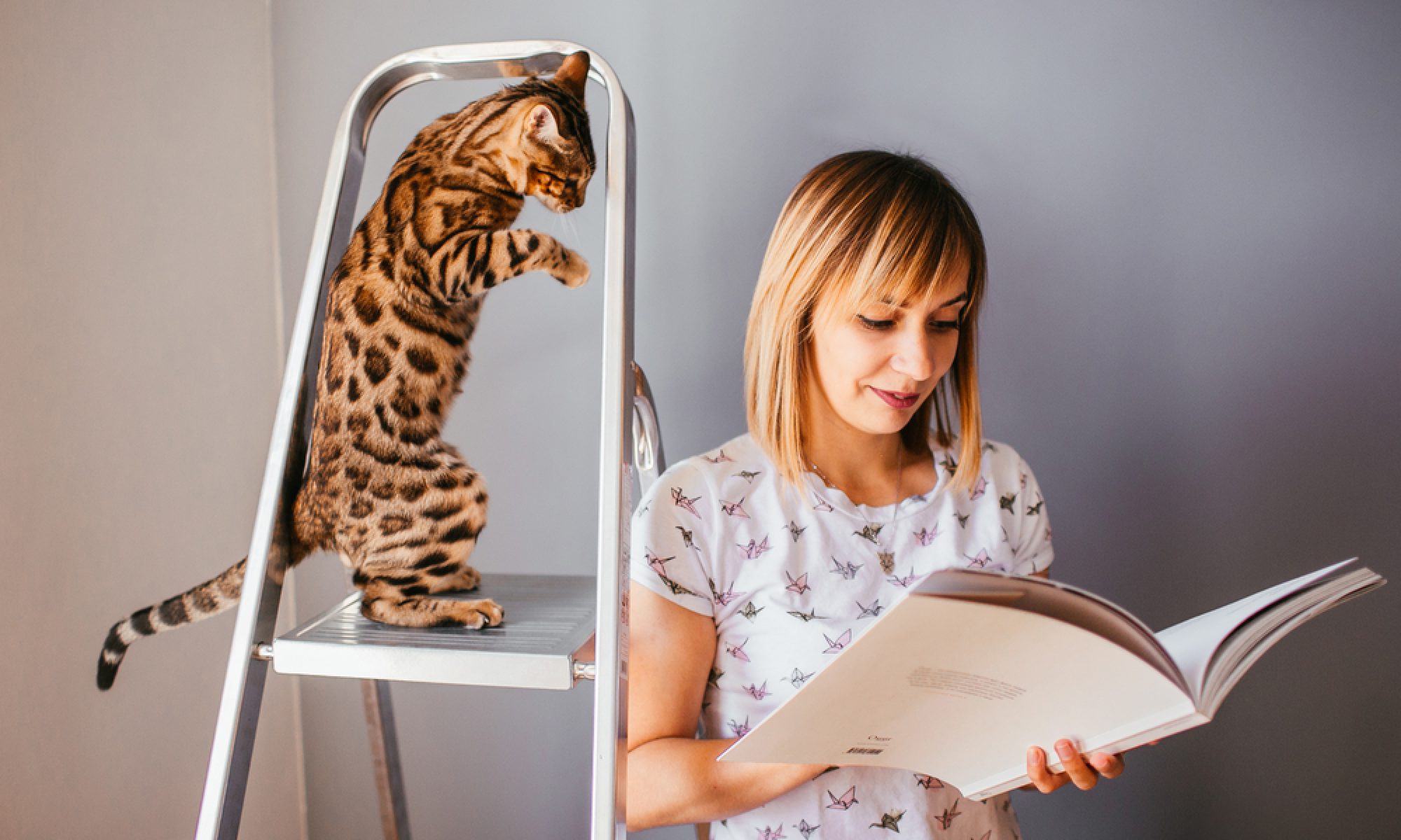Spotty Bengal